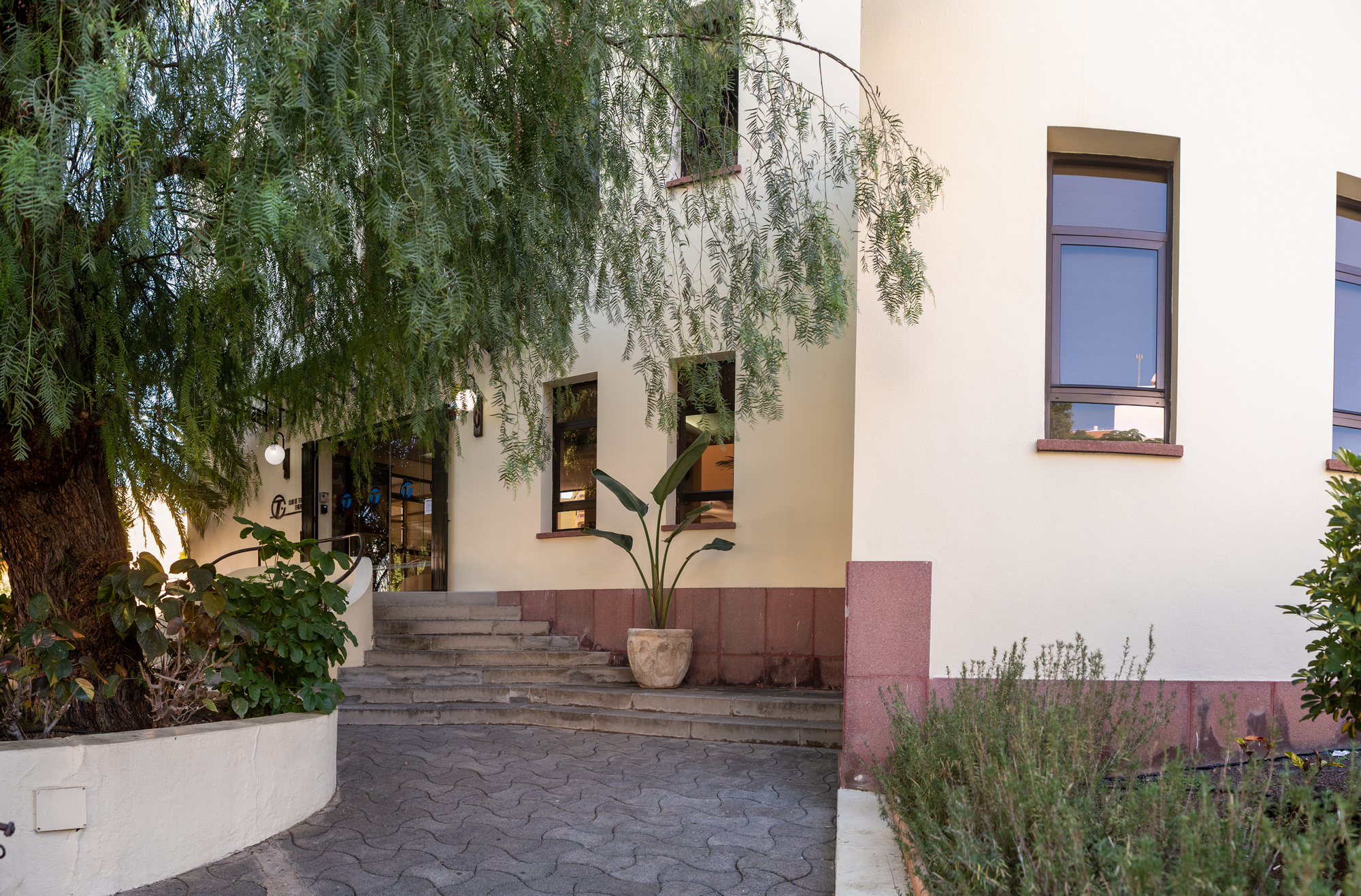 Josefir Instantes – Tenis Tf RRSS 014