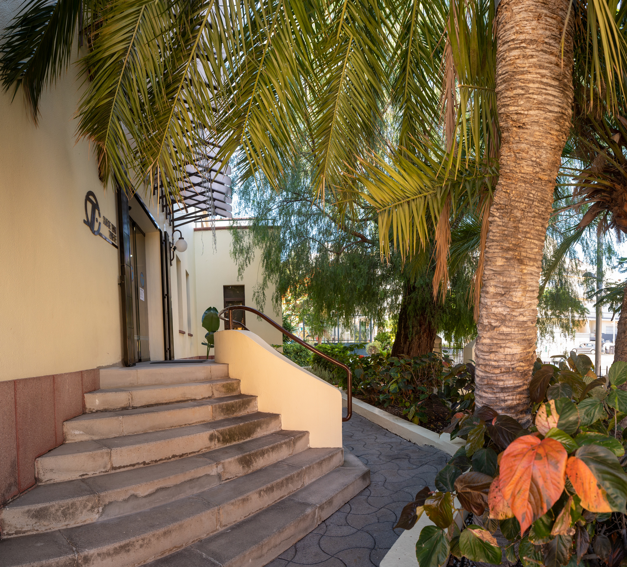 Josefir Instantes – Tenis Tf RRSS 018