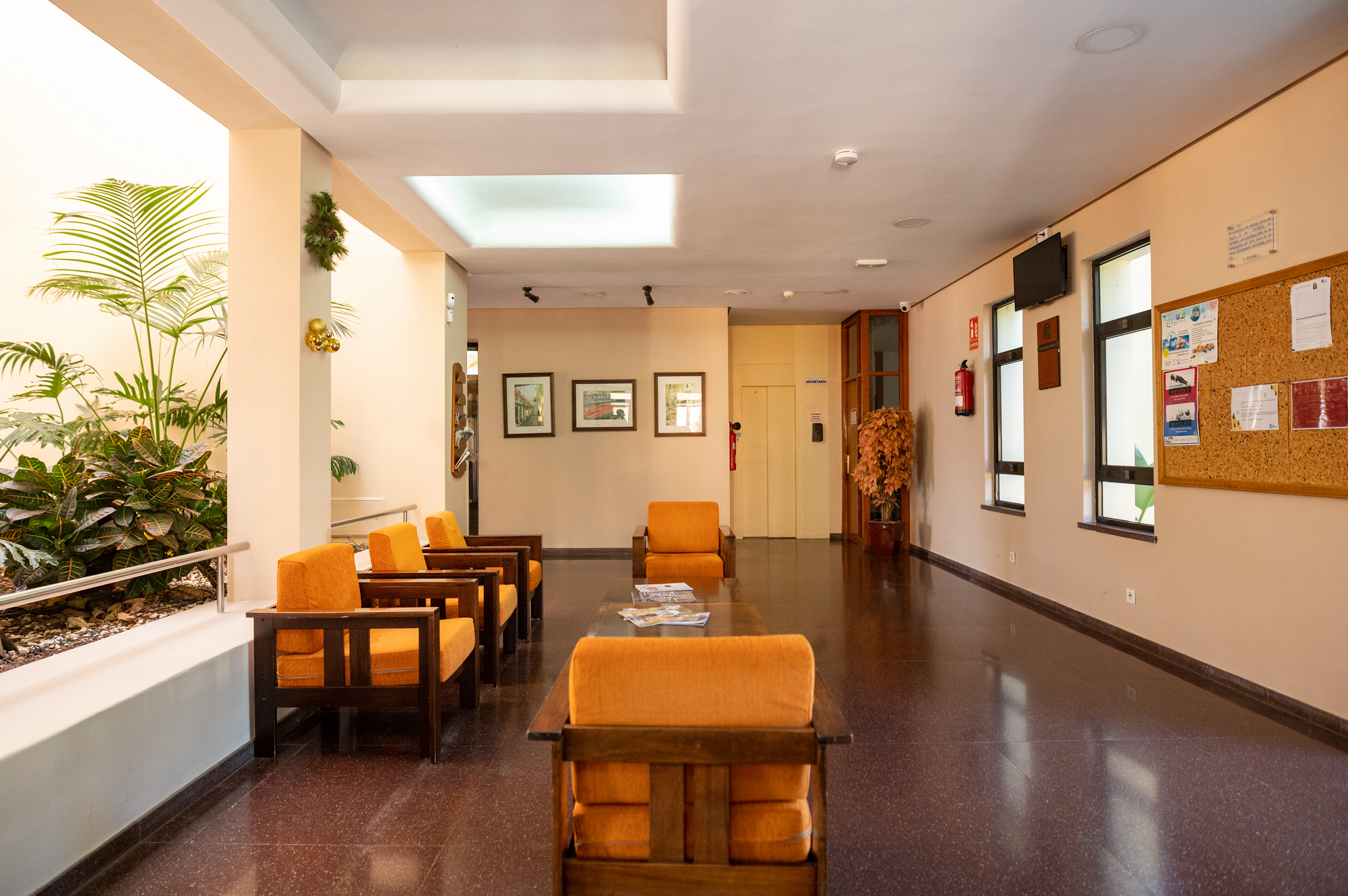 Josefir Instantes – Tenis Tf RRSS 029