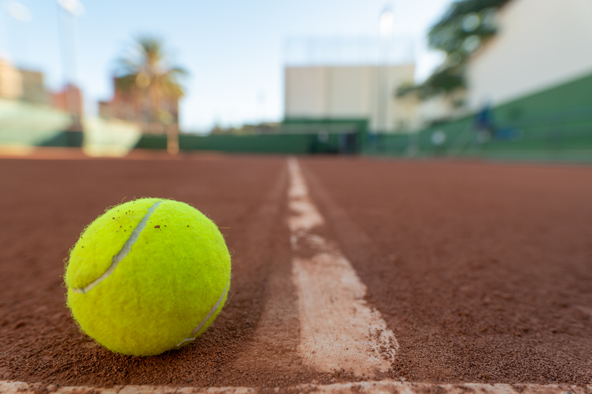 Josefir Instantes – Tenis Tf RRSS 121